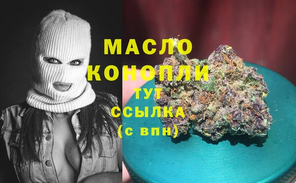 мет Новозыбков
