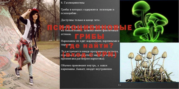мет Новозыбков