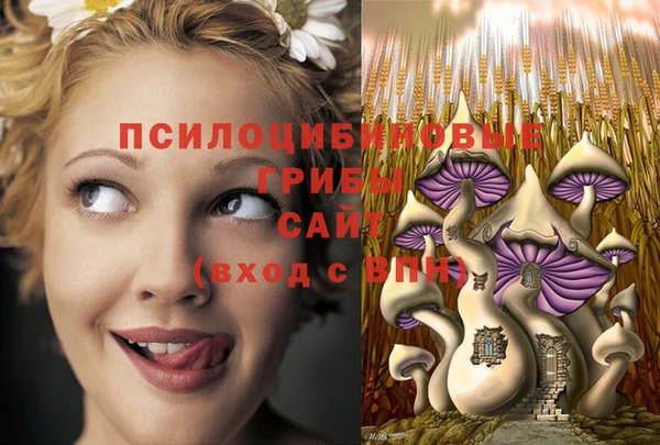 эйфоретик Армянск