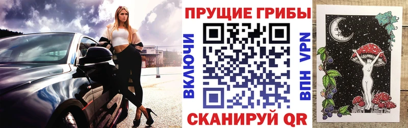 Псилоцибиновые грибы мицелий Кувандык