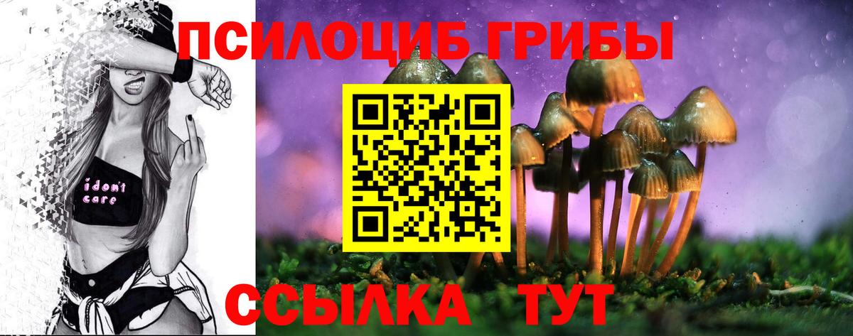 Галлюциногенные грибы Psilocybine cubensis Кувандык