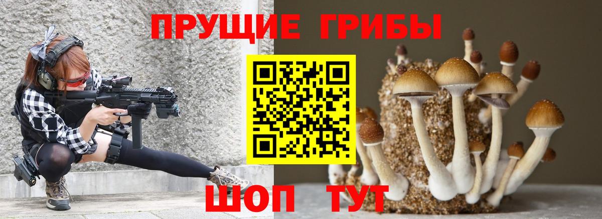 Кувандык  Галлюциногенные грибы Psilocybe  Вход с VPN 
